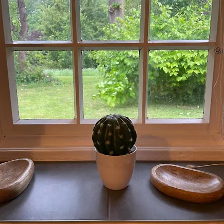 Reetdachhaus Am Ostfriesland Διαμέρισμα